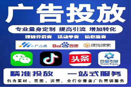成功SEM服务案例分析报告